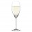Champagne Glass Long Transparent